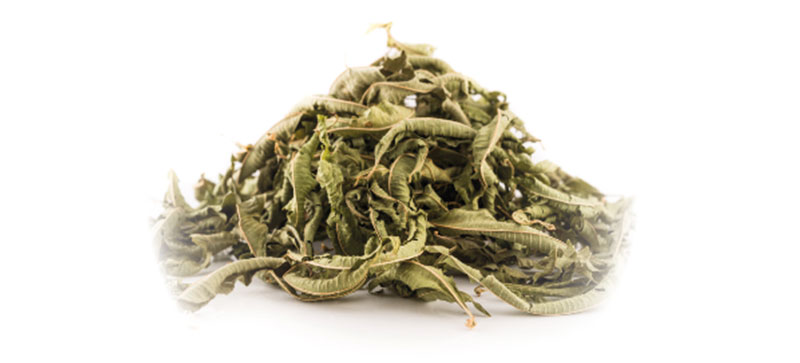 verveine